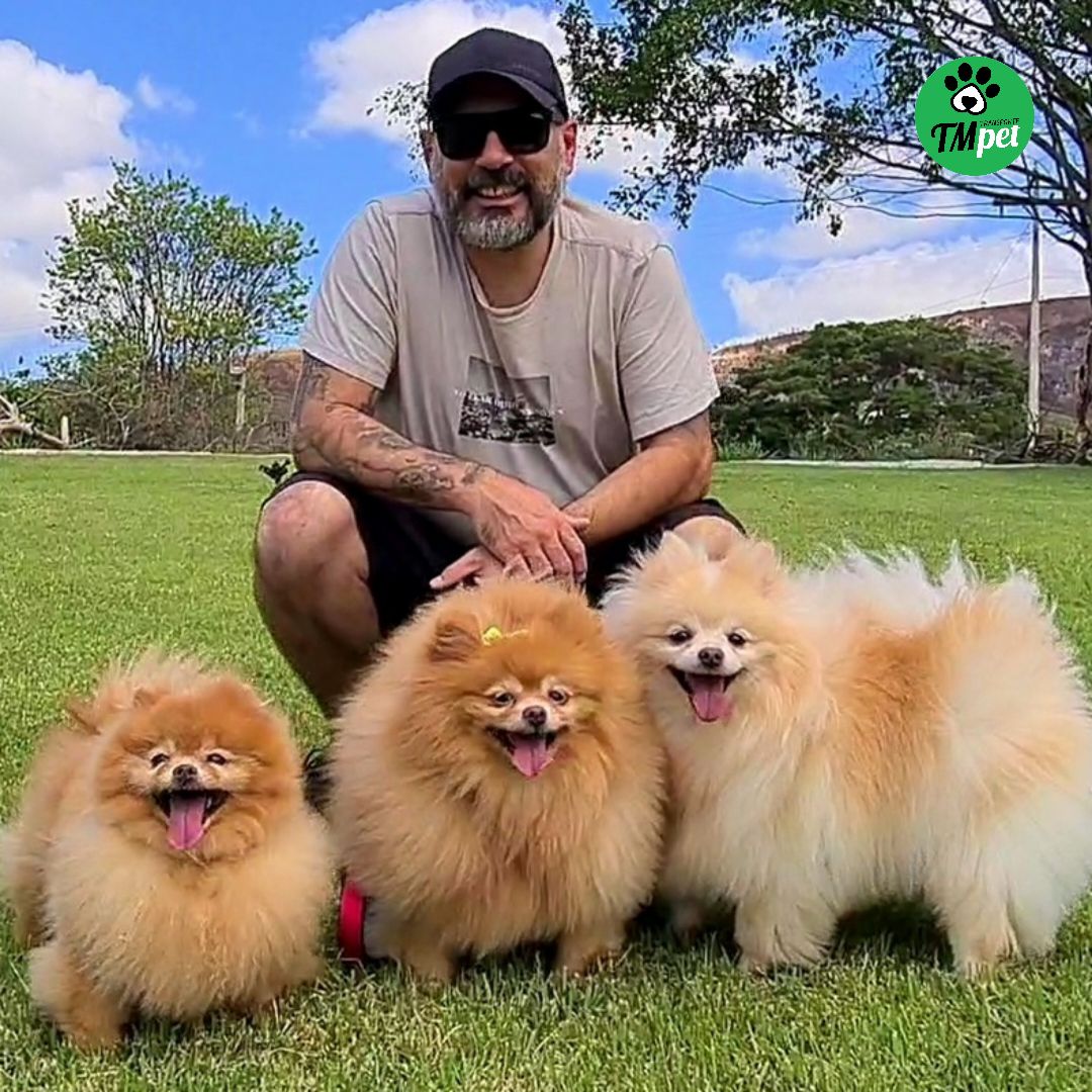 tmtransportepet's tweet photo. Estes são, Britney, Paris e Justin transportados pela @tmtransportepet do Rio de Janeiro/RJ x Salvador/BA. 
TM Tranporte Pet
Transporte terrestre interestadual de pets 
⁣Whats (51) 99310-2259 ⁣
contato@tmtransportepet.com.br ⁣
🌐https://t.co/a27nNs6hEP⁣
⁣#tmtransportepet⁣ https://t.co/H4bCwDZ570