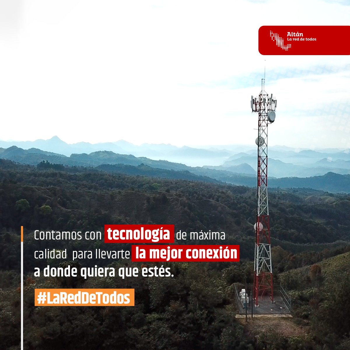 ALTÁN Redes tweet media