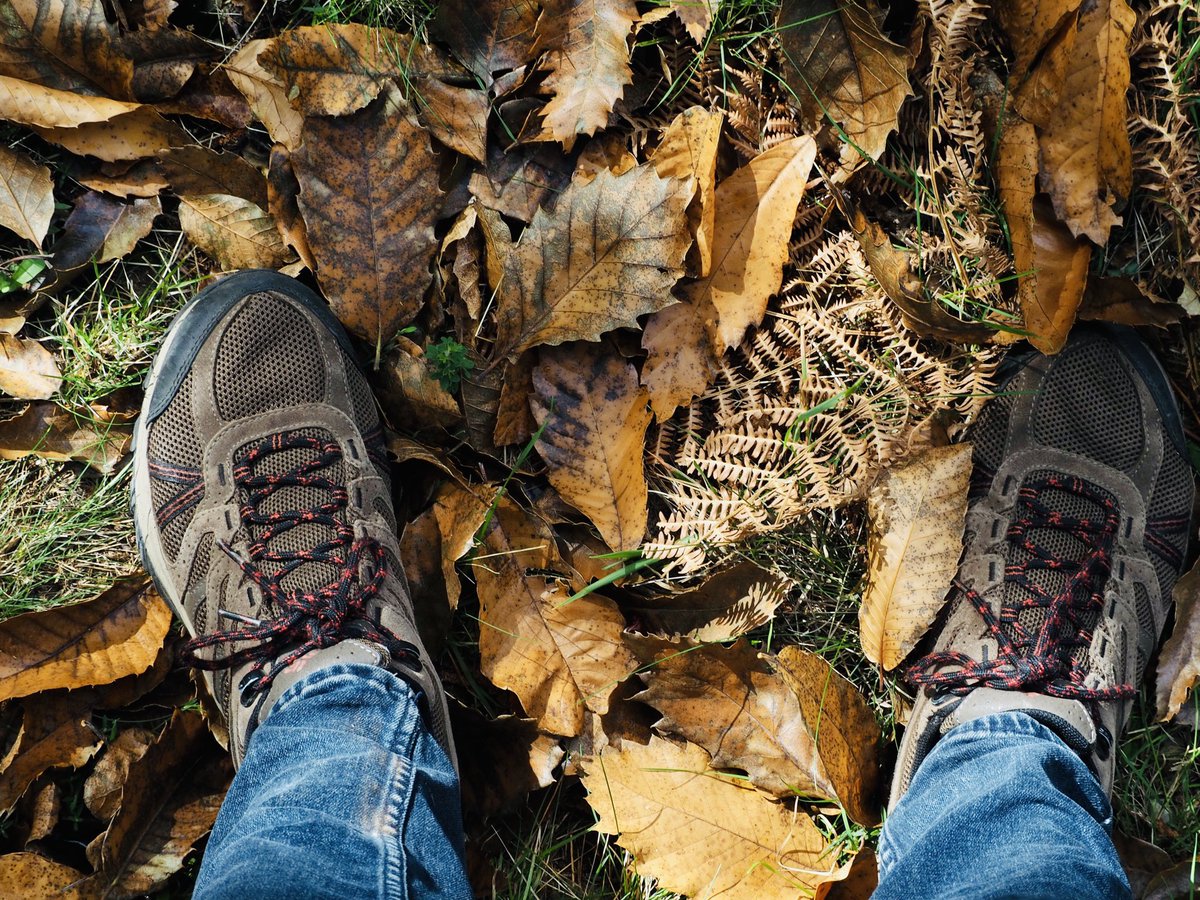 Luz y texturas del otoño en Quintana de #Sanabria #Zamora