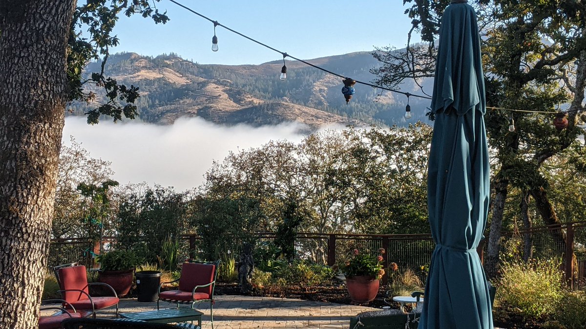 amypearl650's tweet photo. @NWSBayArea #ValleyOfTheMoon #SonomaCounty 🌫️ https://t.co/YLWNrIj6SC