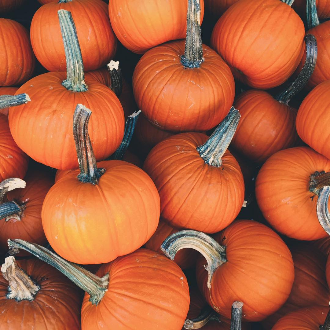 Happy Weekend, Chic'ers! If you need us this weekend, we'll be venturing out to visit some local pumpkin patches and taking allll the obligatory gram-worthy photos!
.
.
.
.
.
#thechicguide #thechicguidedayton #937#supportlocal #shoplocal #shopsmall#thingstodoindayton