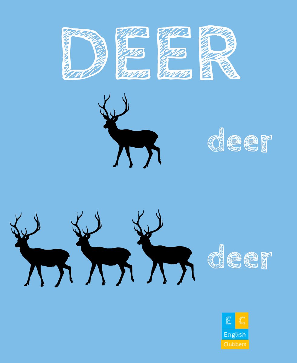 English Clubbers on Twitter "One deer three deer 🦌 deer is both
