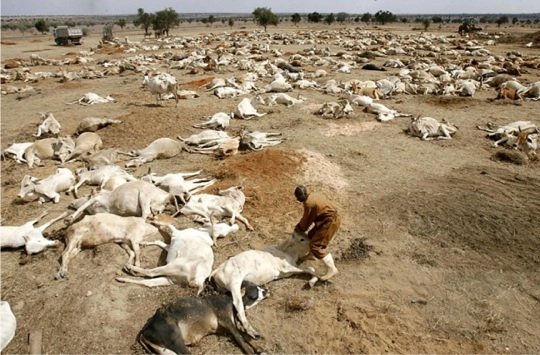 Western countries said they will spend $25bn by 2025 to help Africa adapt to climate change but pledged only $55m for 54 countries.

G20 countries are responsible for 80% emissions and the lowest emitter Africa is the most affected by #ClimateCrisis

Who will be held accountable?