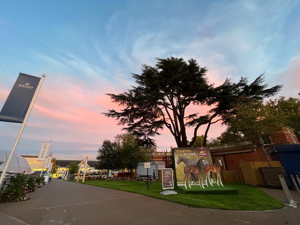 jen_prest's tweet photo. It’s #ChampionsDay eve! Isn’t @Ascot looking marvellous 🤩 #QBCD https://t.co/3oD0AHQ07n