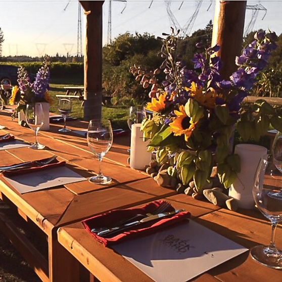 Our vineyard is the perfect place to hold your holiday party or harvest wedding. 🌻🍷🍁 Contact our amazing events team to have Backyard Vineyards host your next happy occasion.