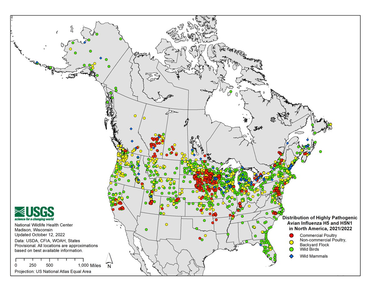 Distribution of Highly Pathogenic Avian Influenza in North America, 2021/2022. Updated October 12, 2022. ow.ly/kNIE50Lak2O