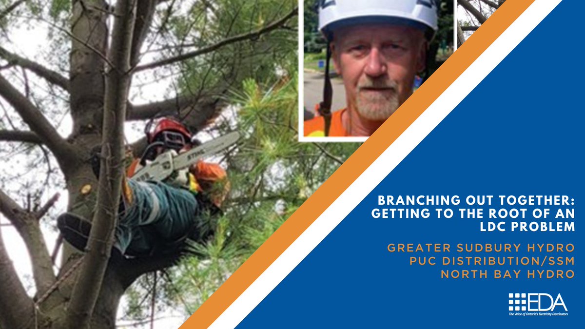 Branching out together: Getting to the root of an LDC problem. Find out how <a href="/SudburyHydro/">Sudbury Hydro</a> <a href="/SSMPUC/">PUC Services Inc.</a> <a href="/NBHydro/">North Bay Hydro</a> vegetation mgt. company helps keep customers safe while providing dependable service in limiting unscheduled power interruptions. Read the blog post: bit.ly/3eEnqLA