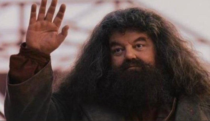 dioramacun's tweet photo. Hogwarts está de luto. Hasta siempre, Robbie Coltrane. Te recordaremos siempre. https://t.co/zSUAWyF8zh