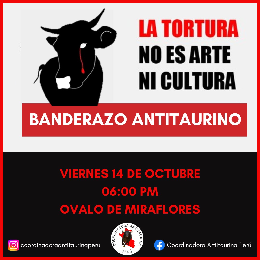 Joxe_Kar's tweet photo. #BanderazoAntitaurino 

Viernes 14, 6 pm
Óvalo de Miraflores

La Coordinadora Antitaurina de Perú invita a colectivxs, organizaciones, estudiantes y ciudadanxs a qué se sumen a este Banderazo en contra de las corridas de toros, porque.. La Tortura, No Es Arte Ni Cultura!! 🚩🏴 https://t.co/pXO8mItWEh
