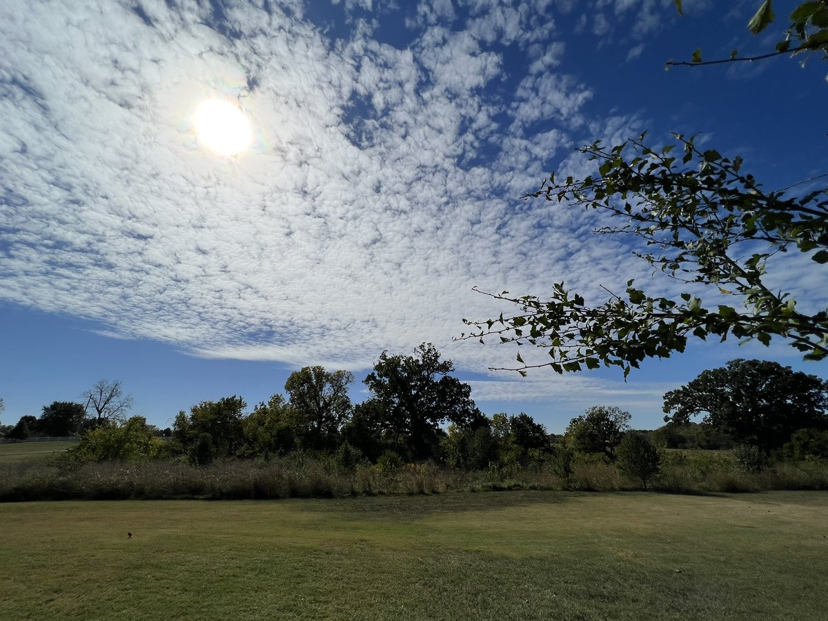 Joe Payne tweet media