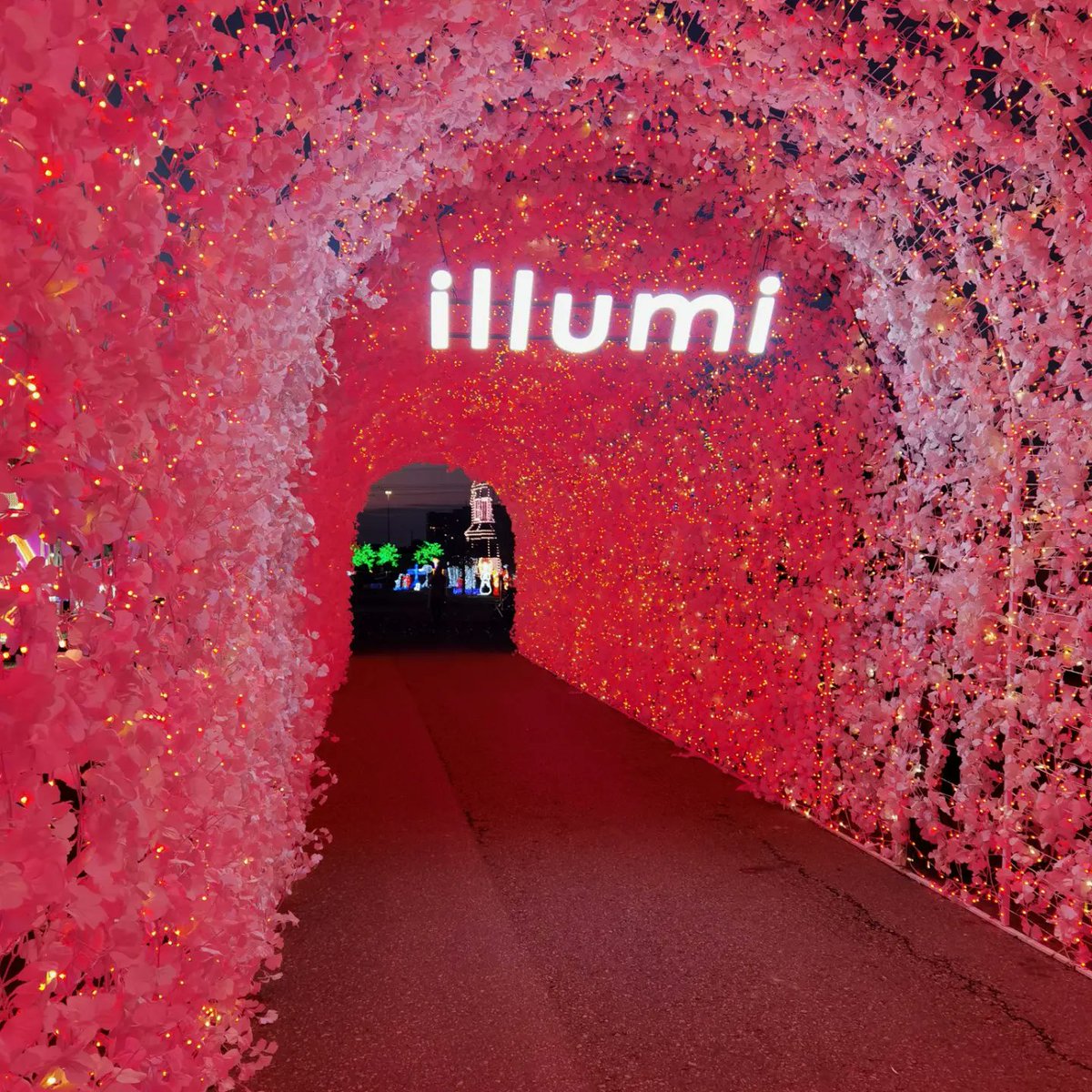 MoVernie's tweet photo. #illumiMississauga by #Cavalia is AMAZING!

This is 1 of the largest outdoor light shows that I ever seen. 

The entire property is divided into 13 sections with an additional section near the entrance area that changes based on the special occasion.

#illumi #LightShow https://t.co/53BKW3yw08