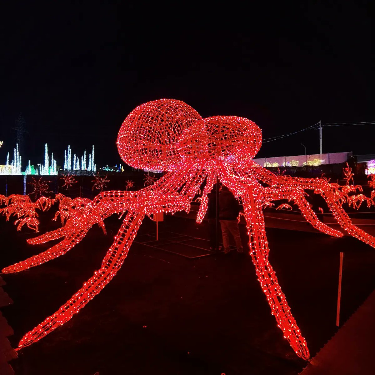 MoVernie's tweet photo. #illumiMississauga by #Cavalia is AMAZING!

This is 1 of the largest outdoor light shows that I ever seen. 

The entire property is divided into 13 sections with an additional section near the entrance area that changes based on the special occasion.

#illumi #LightShow https://t.co/53BKW3yw08