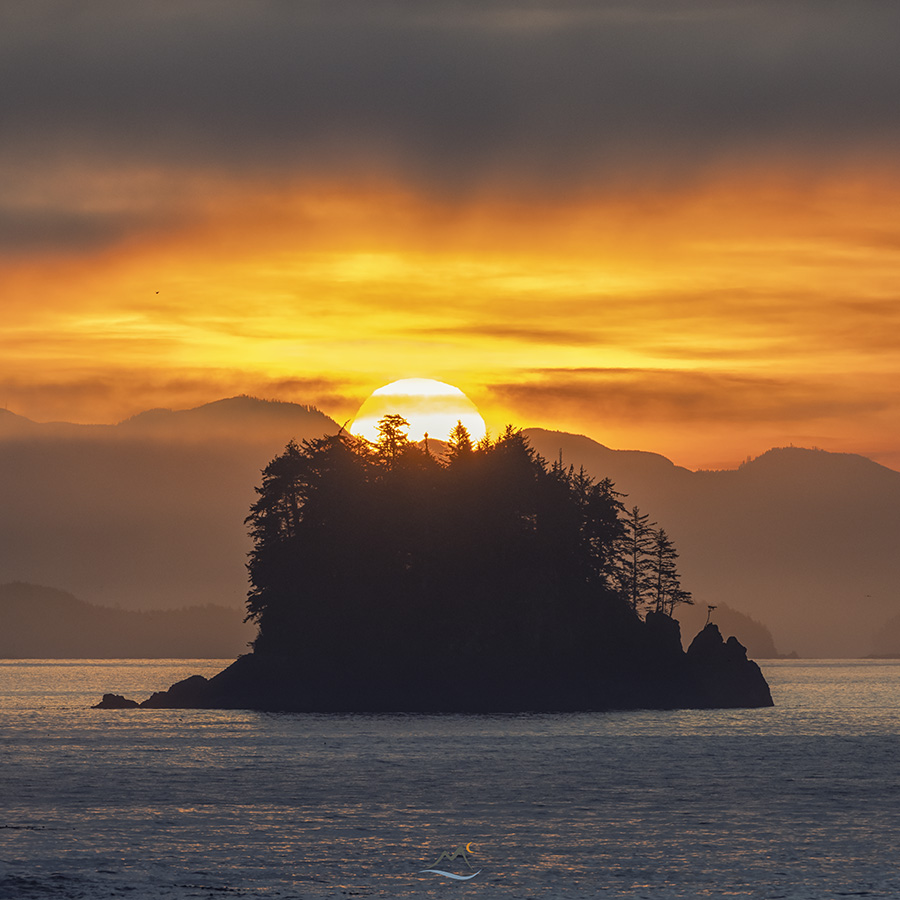 davidlmccolm's tweet photo. The sky was on fire this morning! #uclulet #BC https://t.co/TQQRSfimwG