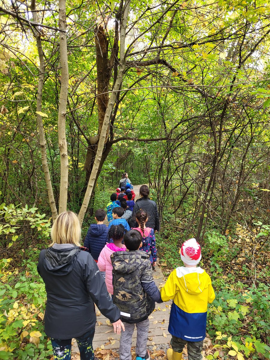 MrYerzy's tweet photo. Thank you Stefanie @ForestValleyOEC for taking us through the woods for these young Ss first field trip ever! @tdsb @TDSB_DunlacePS #outdooreducation #fall https://t.co/NpcS4pmsjT