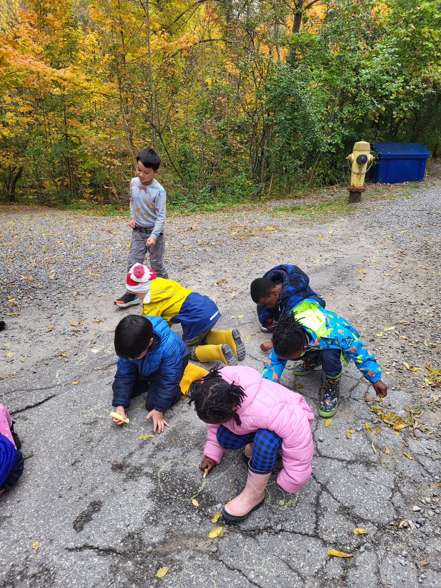MrYerzy's tweet photo. Thank you Stefanie @ForestValleyOEC for taking us through the woods for these young Ss first field trip ever! @tdsb @TDSB_DunlacePS #outdooreducation #fall https://t.co/NpcS4pmsjT