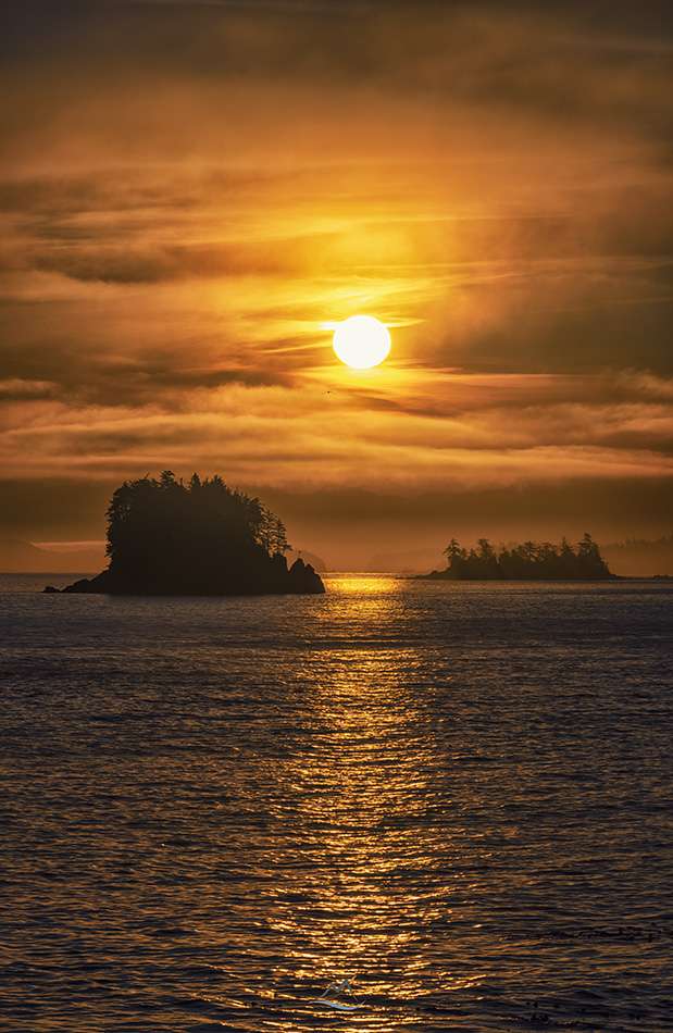 davidlmccolm's tweet photo. The sky was on fire this morning! #uclulet #BC https://t.co/TQQRSfimwG