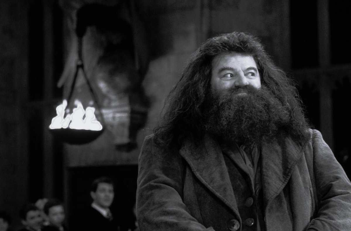 WarnerBrosTH's tweet photo. ขอแสดงความเสียใจกับการจากไปของ #RobbieColtrane นักแสดงที่ฝากผลงานในบทบาท Hagrid ในภาพยนตร์แฟรนไชส์ "#HarryPotter" ที่เสียชีวิตแล้วในวัย 72 ปี

🤍 https://t.co/MmGDz45RYj