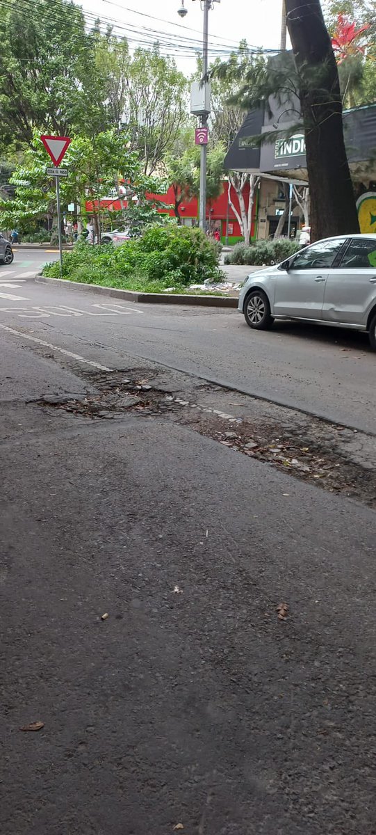 Gerardo Carrasco tweet media