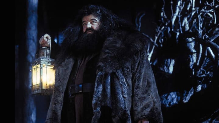 flippermstar's tweet photo. “There's no Hogwarts without you, Hagrid." https://t.co/QAjwpNDROj
