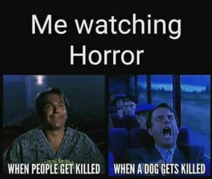 DHNProductions's tweet photo. 🎃🍂🎃🍂🎃🍂🎃🍂🎃🍂🎃
Come on guys level with me, which beloved pets demise do you cry the most at in horror? #horror #HorrorMovies #HorrorFamily #HorrorCommunity #HorrorFam #which #answerthequestion #donthavenightmares 🎃🍂🎃🍂 https://t.co/3wvM1IacFk