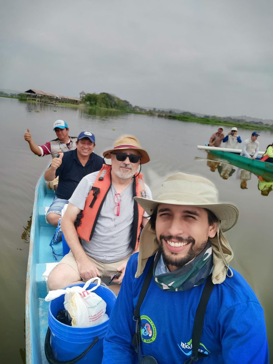 oikossokio's tweet photo. Con la participación activa de sus pobladores, investigadores de @fcvespol, @CADS_ESPOL de @espol y de @UTMManabi inician proyecto de investigación en colaboración sobre la calidad microbiológica del agua y sedimentos del humedal La Segua, #Manabi @DEC_INV_ESPOL @CarlosMonsalveA https://t.co/EpbaE6mU1d