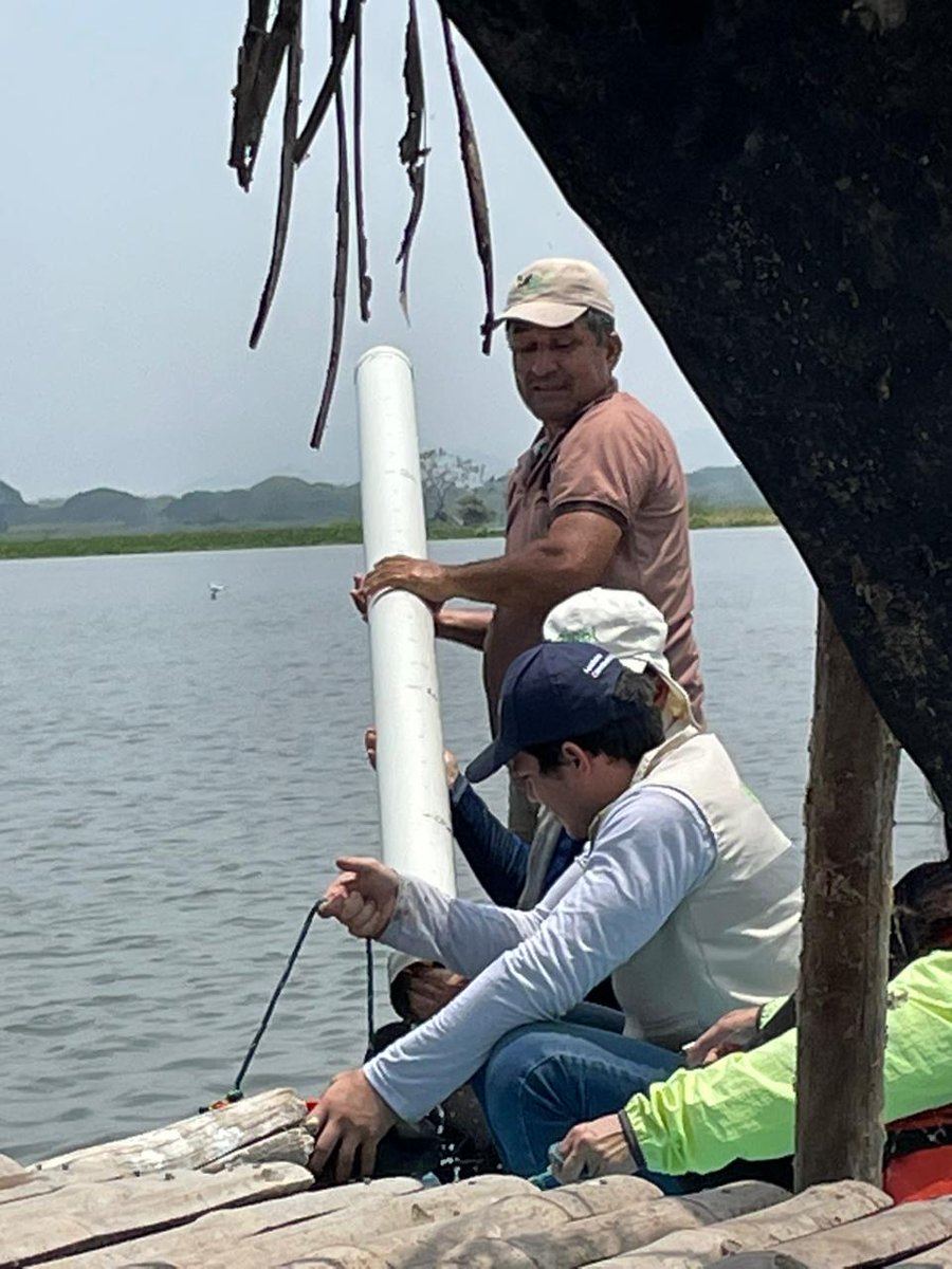 oikossokio's tweet photo. Con la participación activa de sus pobladores, investigadores de @fcvespol, @CADS_ESPOL de @espol y de @UTMManabi inician proyecto de investigación en colaboración sobre la calidad microbiológica del agua y sedimentos del humedal La Segua, #Manabi @DEC_INV_ESPOL @CarlosMonsalveA https://t.co/EpbaE6mU1d