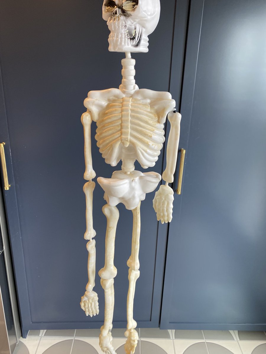 TimOfLegend tweet media