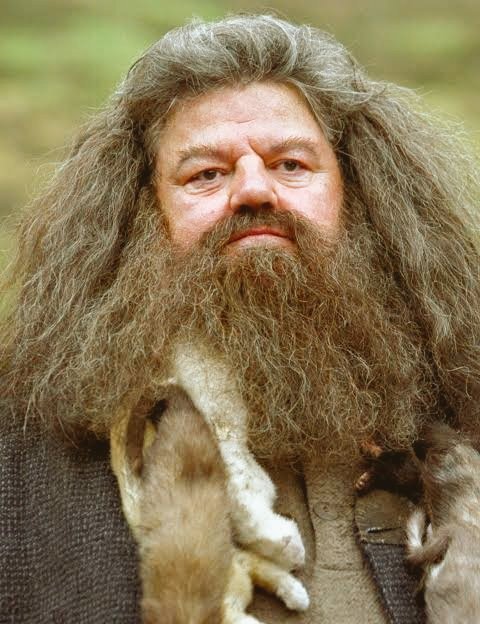 imankitpaswan's tweet photo. Hollywood superstar Robbie Coltrane is gone, he starred as Rubeus Hagrid in my favorite Hollywood childhood movie Harry Potter, which ended a wonderful journey with a smile on everyone's face.

#rubeushagrid #HarryPotter #robbiecoltrane #hollywood https://t.co/1zvlFbHoMF