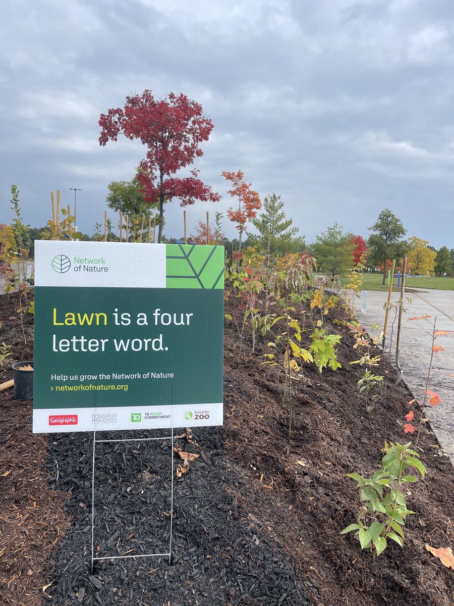A new Miyawaki Forest for the Toronto Zoo and it’s visitors. All local native tree and shrub species. Launching our Network of Nature project. Our native Canadian species need a home.| ⁦@CanGeo⁩ ⁦@TDFEF networkofnature.org. ⁩ #HealthierPlanet