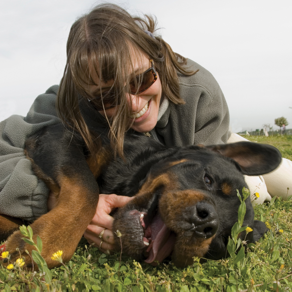 CertifiedGAP's tweet photo. When an animal is raised for food, it's important to utilize as much of the carcass as possible. That's where our pet partners come in - they use many of these nutrient-rich parts of the animal for their high-quality food. Learn more and #MakeitGAP! https://t.co/KyIYTCJgj7. https://t.co/gvkq85c1Ii