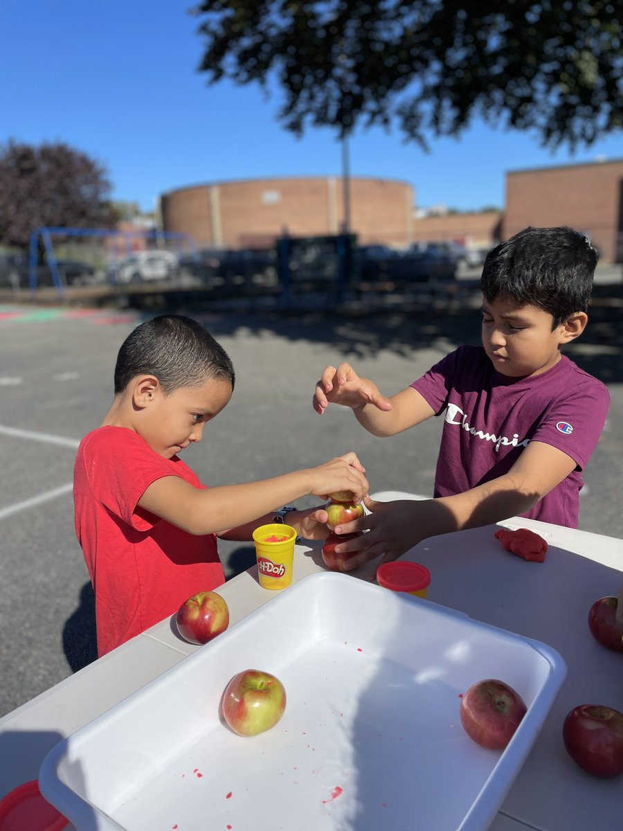 GCSD_STREAM tweet media