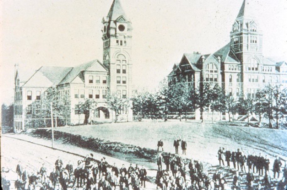 👈Guess who turned 137 years old today? 🐝🎂