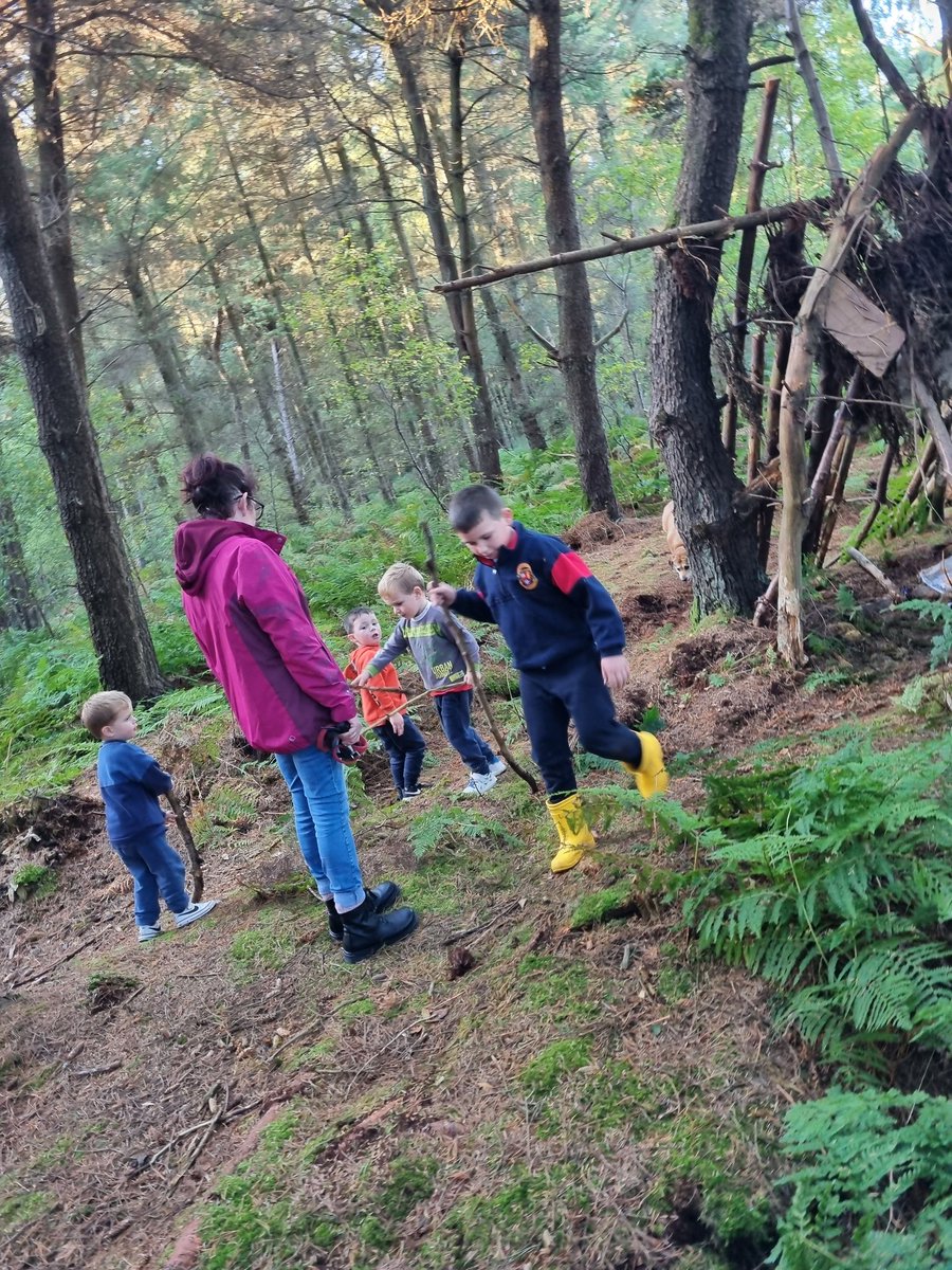 Friday evening spent exploring 🌲