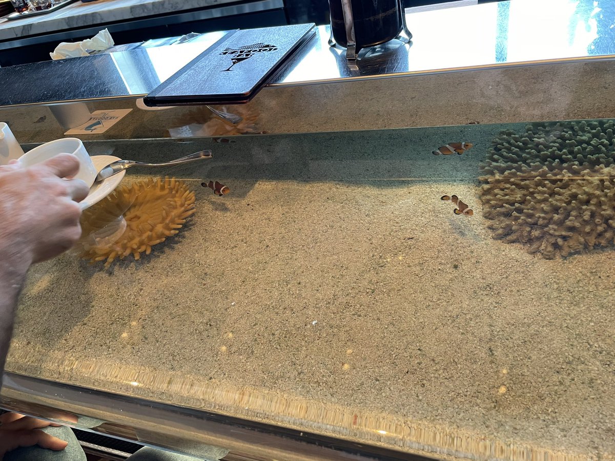 Abolish Everything tweet media