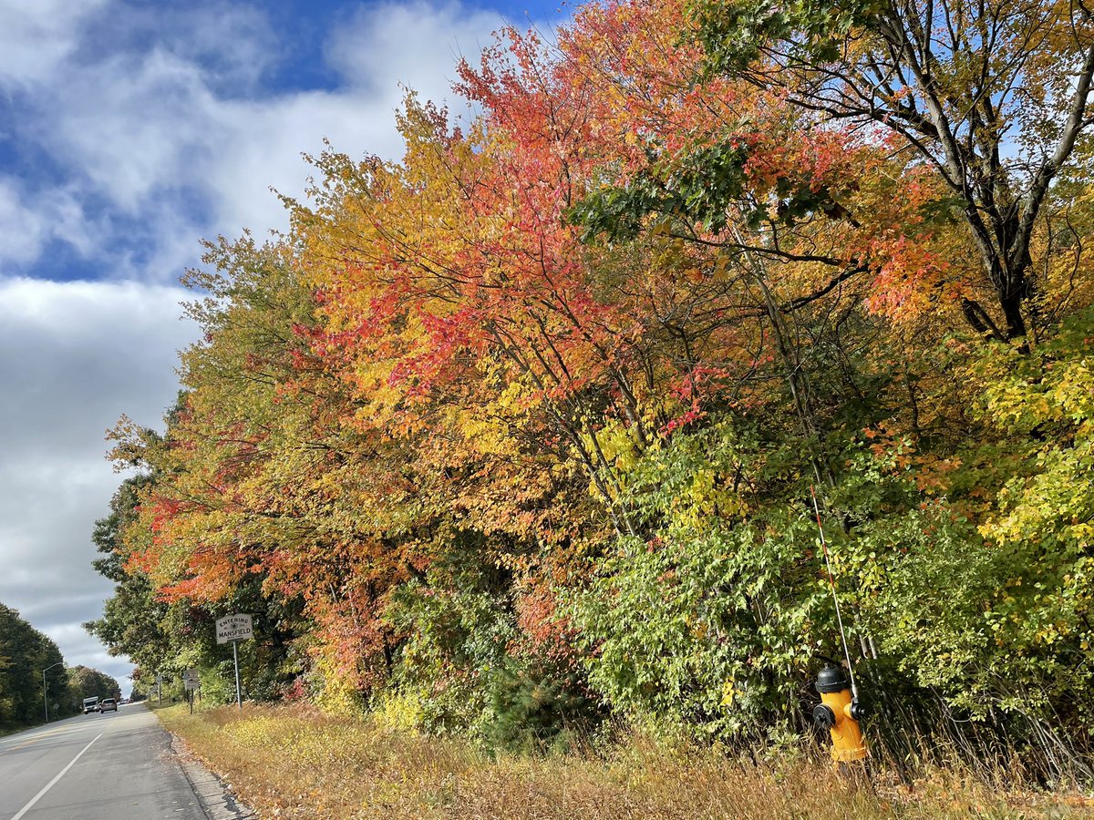 Beautiful02048's tweet photo. Entering #MansfieldMA in #autumn 🍂 🍁 🎃 https://t.co/pUKOnIn5Iw