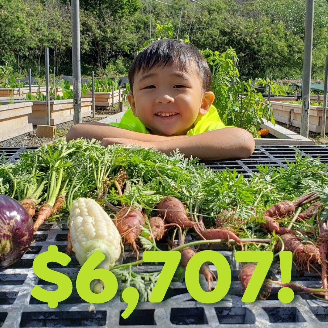 seedmoneyorg's tweet photo. Our friends @hawaiikaihui raised a whopping $6707 in grants and donations for their community gardening work through last year's SeedMoney Challenge. We've got 370 grants up for grabs in this year's Challenge which is accepting applications here: https://t.co/VJd52UtoGN https://t.co/C8PJMgbifG