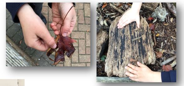 Over Primary School tweet media