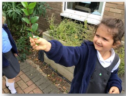 Over Primary School tweet media