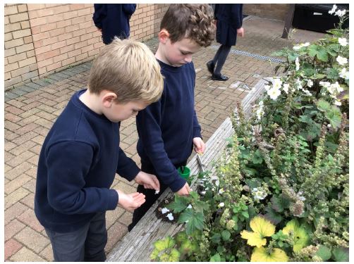 Over Primary School tweet media