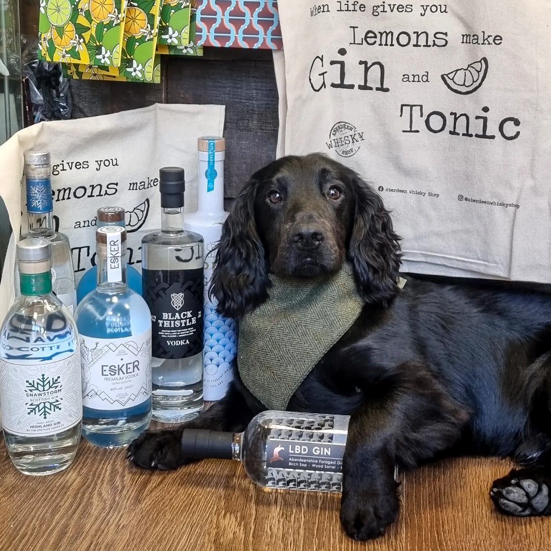 Aberdeen Whisky Shop 🥃 tweet media