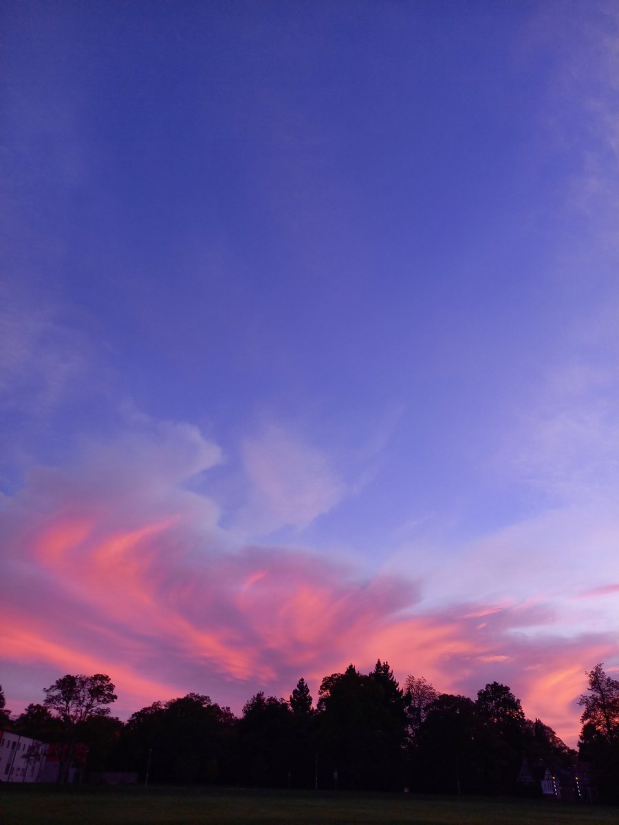 Meg Stretton tweet media