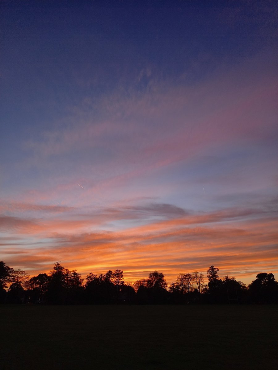 Meg Stretton tweet media