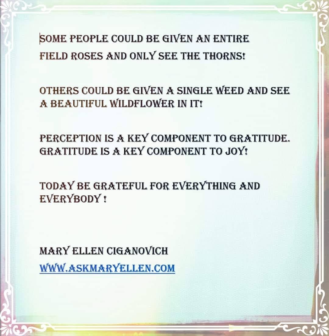 askmaryellen's tweet photo. An extra Truth for your Sunday pleasure. Perceptions are key to living a #peacefullife. Gratitudes are #amusthave #Sundaysdevotionals #InspirationalTruths #mindfulnesscoach #motivationallady #MSwarrior https://t.co/y0Sk80xZ71 https://t.co/AgIVJBZjEy