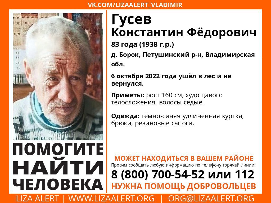 LizaAlert_Vladimir tweet media