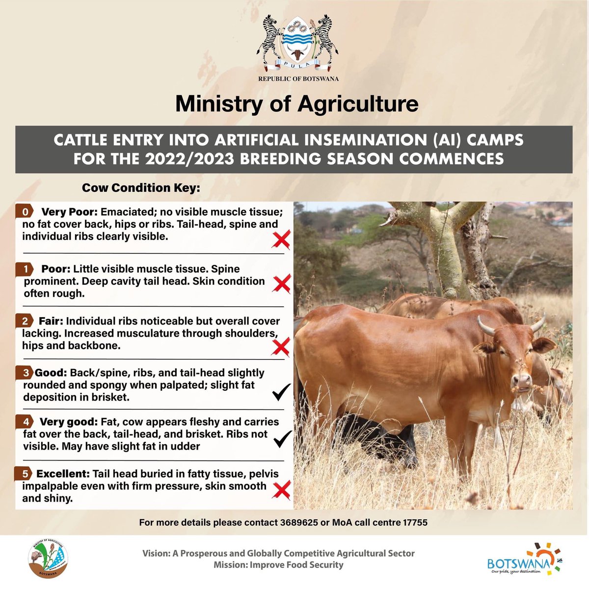 FarmersReviewBW's tweet photo. Cattle Entry into Artificial Insemination (AI) Camps for the 2022/2023 breeding season starts next week Monday…. https://t.co/9XLGH8BvDk