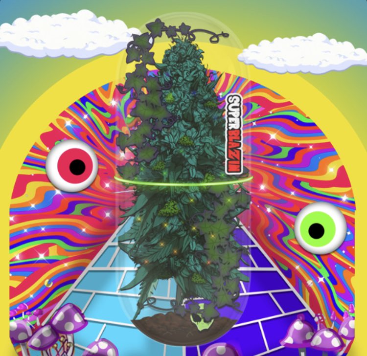 alex69brc's tweet image. Minted my two @weedlabv2 V2 and they look fire🔥