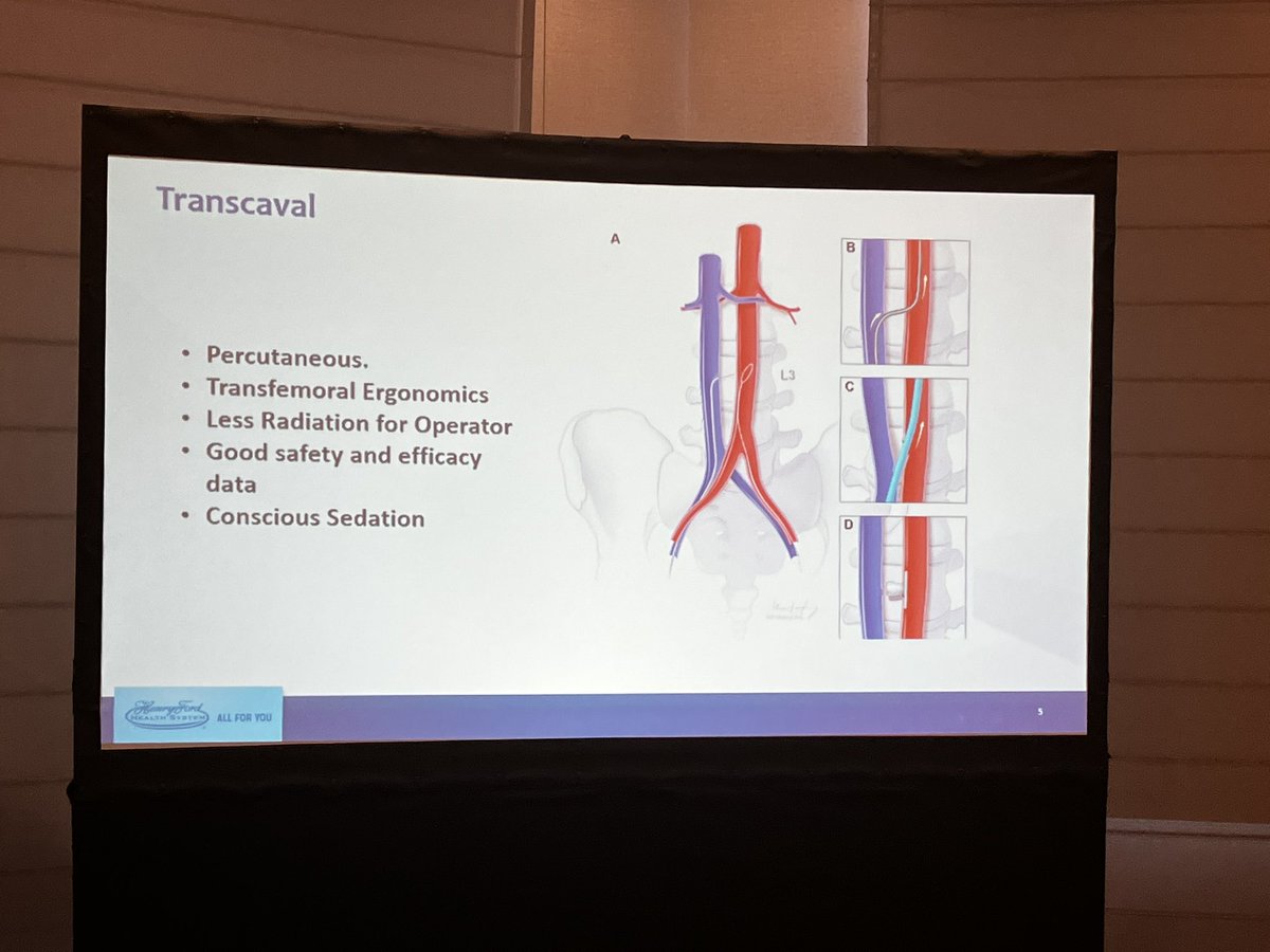 SCAI's tweet image. .@PedroMDMSc, FSCAI leads a small group session at #SCAISHOCK 2022 on performing elective or ad hoc #transcaval for urgent cases that require MCS.