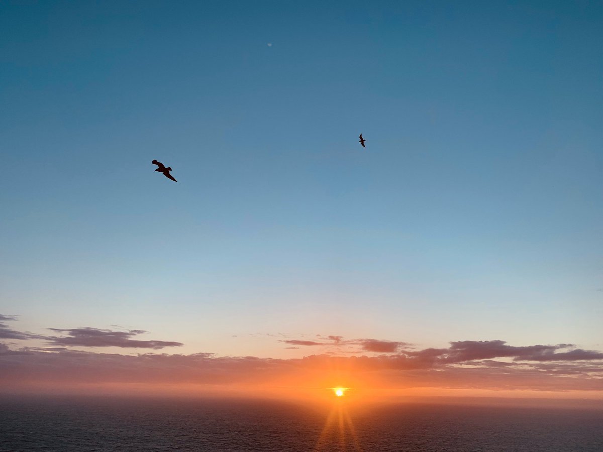 El (@eparry4) on Twitter photo 