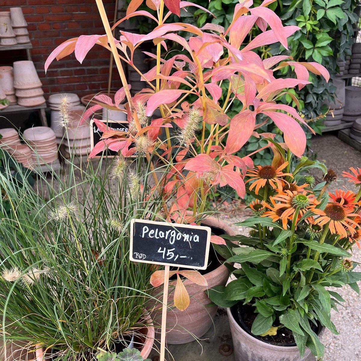 ✿ Floral inspiration from Copenhague ✿