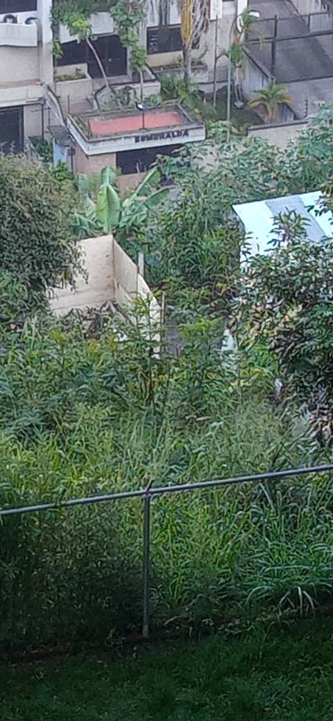 mayresousa's tweet photo. #14Oct Palo Verde calle 10 Mun Sucre, vecinos hemos exigido durante años el desalojo d esta invasión que crece día a día. Existe orden de desalojo emitida por tribunal necesitamos el ejecutese antes que el cerro termine de colapsar @JoseVRangelA @HectoRodriguez @NicolasMaduro https://t.co/2JaL6Aq1IU